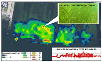 Acoustic and Underwater Video Data Used to Map Eelgrass